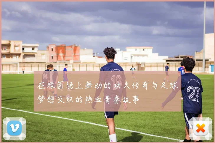 在绿茵场上舞动的功夫传奇与足球梦想交织的热血青春故事