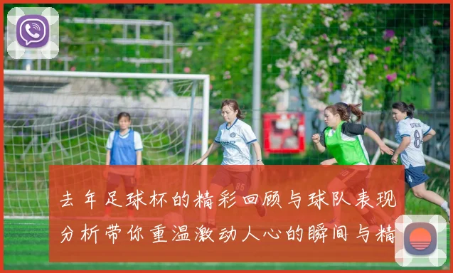 去年足球杯的精彩回顾与球队表现分析带你重温激动人心的瞬间与精彩赛事