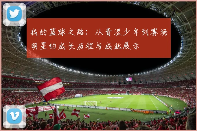 我的篮球之路：从青涩少年到赛场明星的成长历程与成就展示