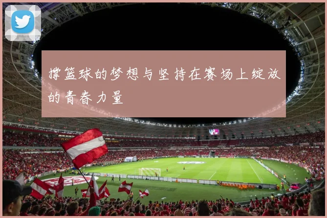 撑篮球的梦想与坚持在赛场上绽放的青春力量